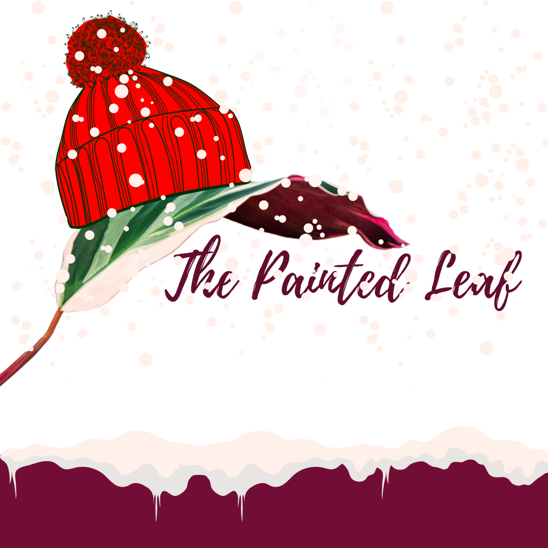 Winter Insurance-ThePaintedLeaf-care