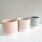 Pastel Ridged 4" Pot-pot-ThePaintedLeaf-care