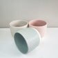 Pastel Ridged 4" Pot-pot-ThePaintedLeaf-care