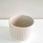 Pastel Ridged 4" Pot-pot-ThePaintedLeaf-care