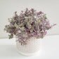 Pastel Ridged 4" Pot-pot-ThePaintedLeaf-care