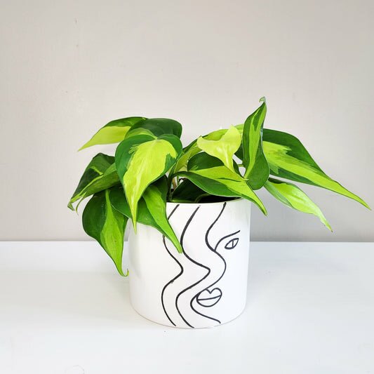 Glamour pot-ThePaintedLeaf