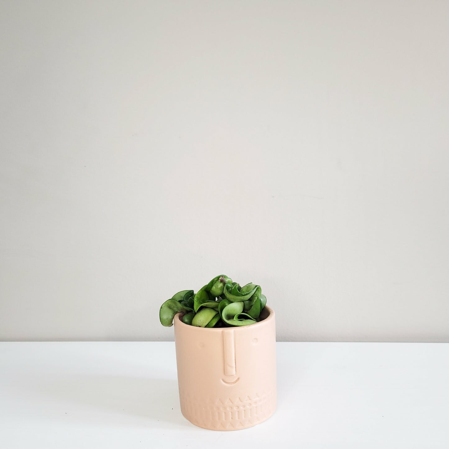 Happy Face pot