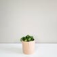 Happy Face pot