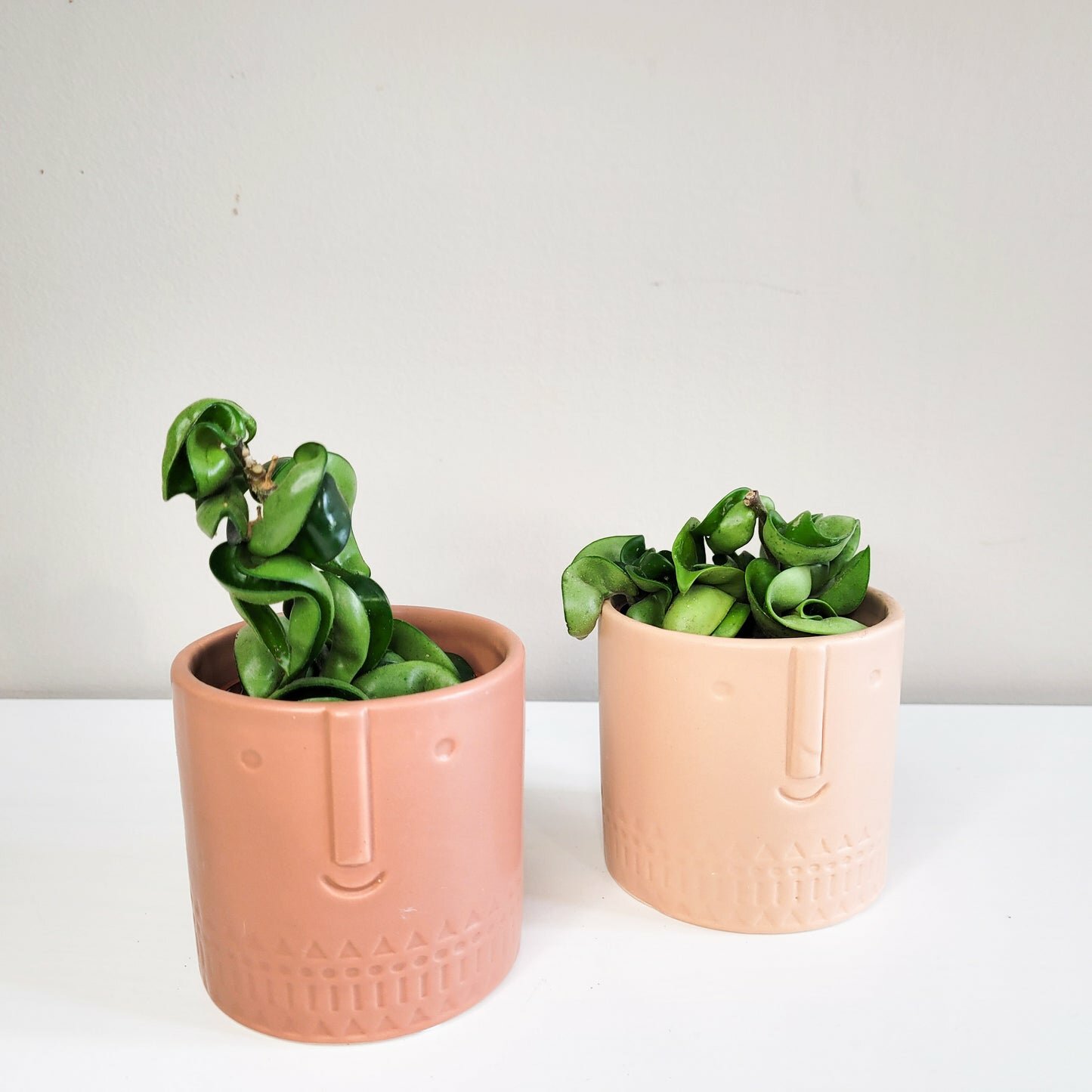 Happy Face pot