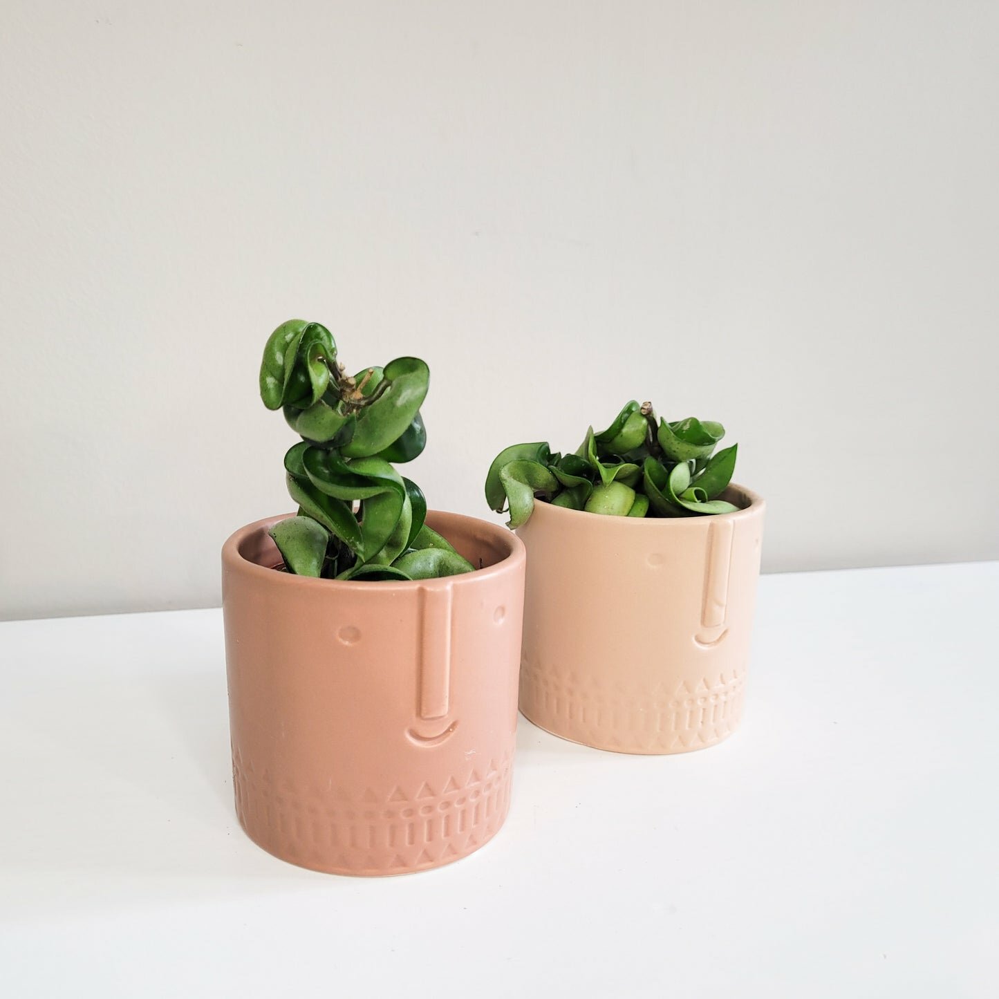 Happy Face pot